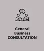 General Business Consultation